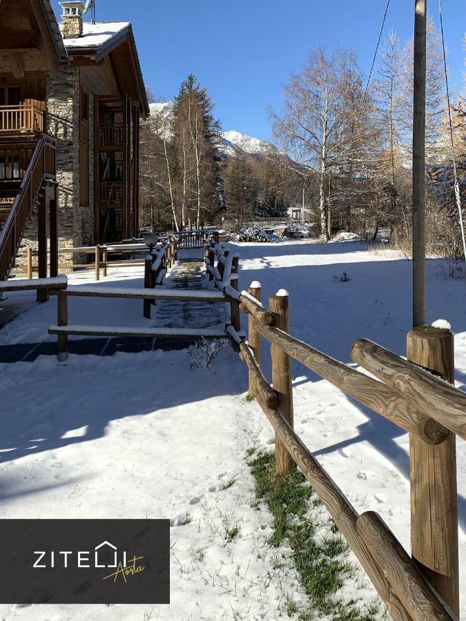 Zitelli Aosta Villa Cogne Dış mekan fotoğraf