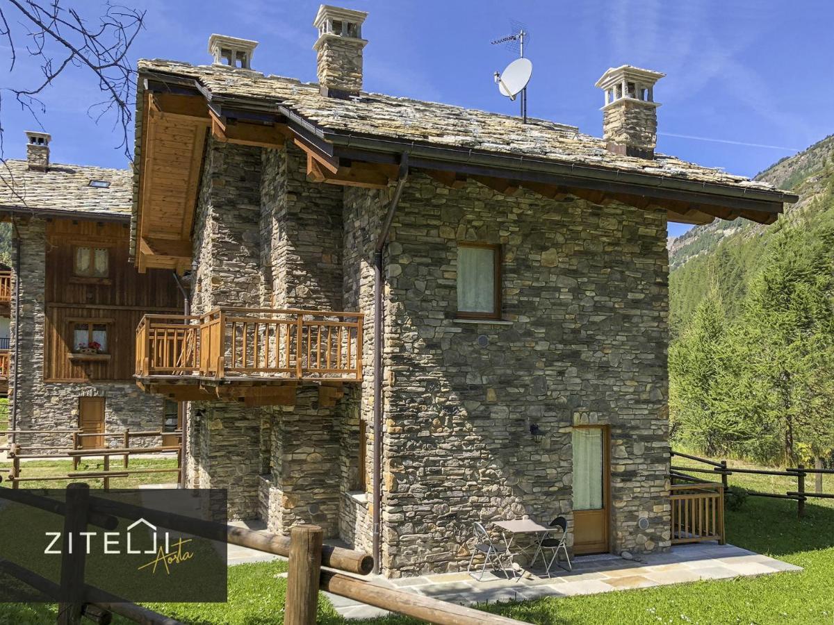 Zitelli Aosta Villa Cogne Dış mekan fotoğraf