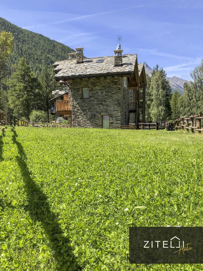 Zitelli Aosta Villa Cogne Dış mekan fotoğraf